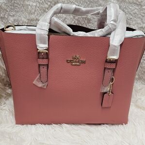 Coach C4084 Mollie Tote Bag 25 ColorTaffy  Leather Handbag Womens Coach Purse